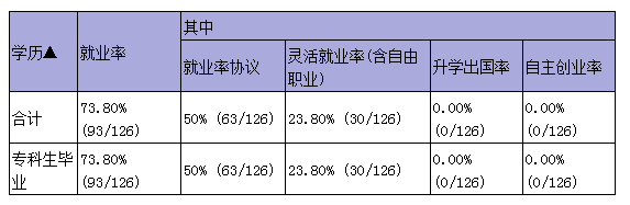 2019屆畢業(yè)生就業(yè)質(zhì)量報告